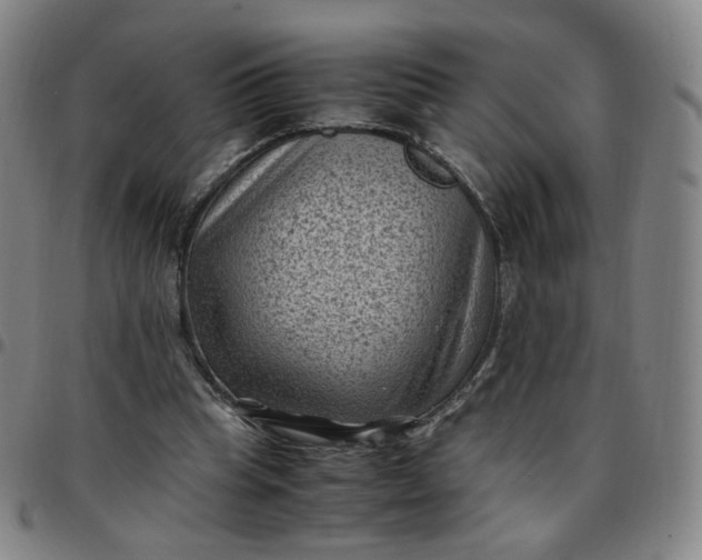 X0000097500345200803071807