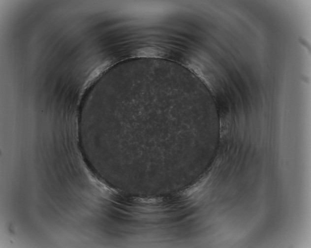 X0000097500349200803071807