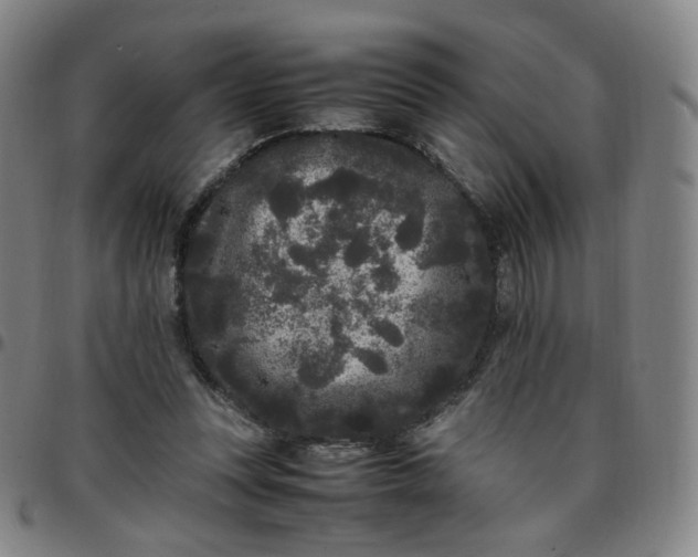 X0000097500351200803071807