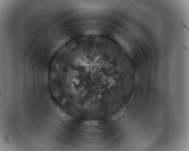 X0000097500353200803071807