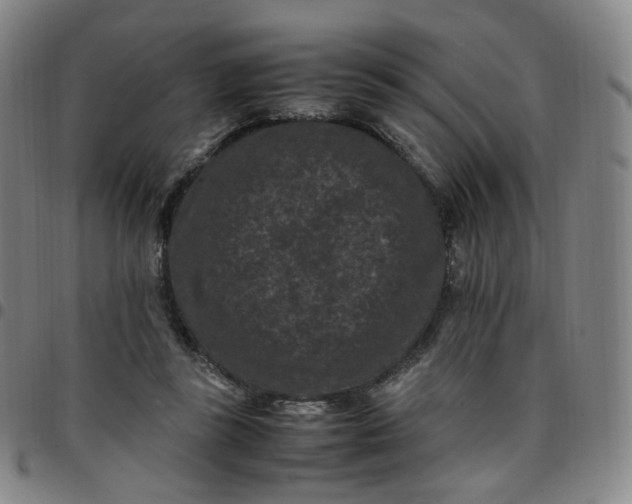 X0000097500355200803071807