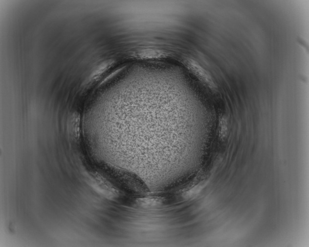 X0000097500356200803071807