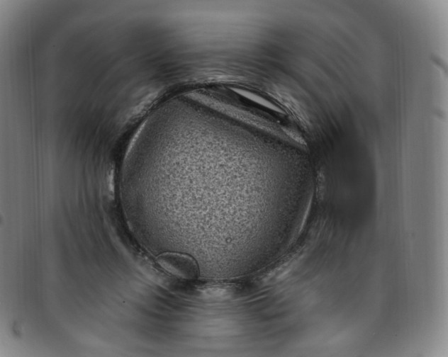X0000097500358200803071807