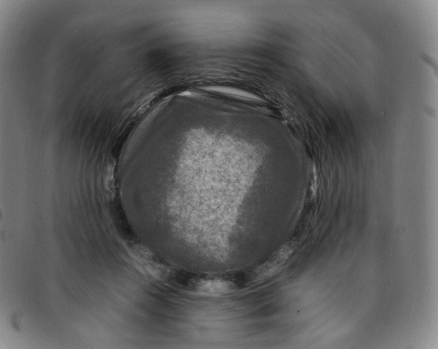 X0000097500360200803071807