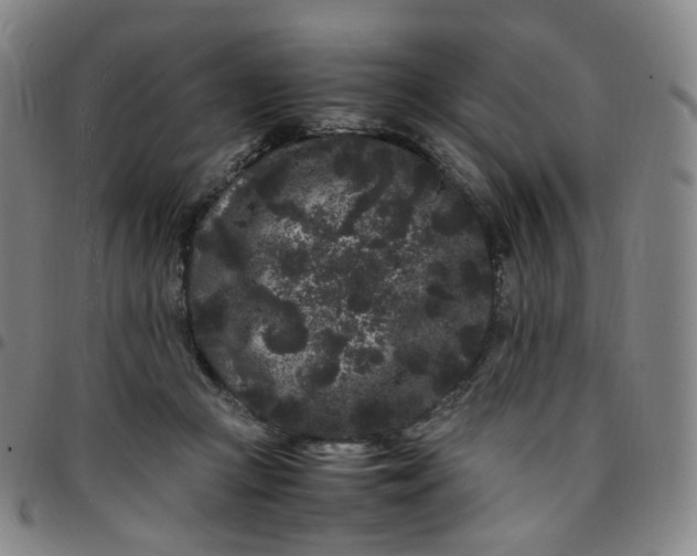 X0000097500361200803071807