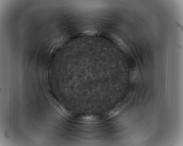 X0000097500365200803071807