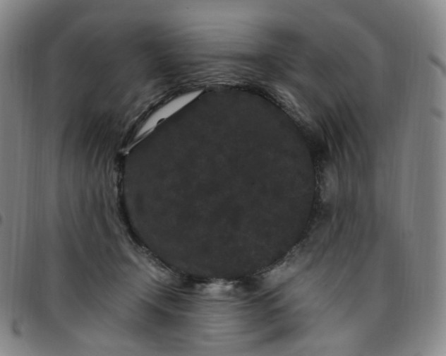 X0000097500366200803071807