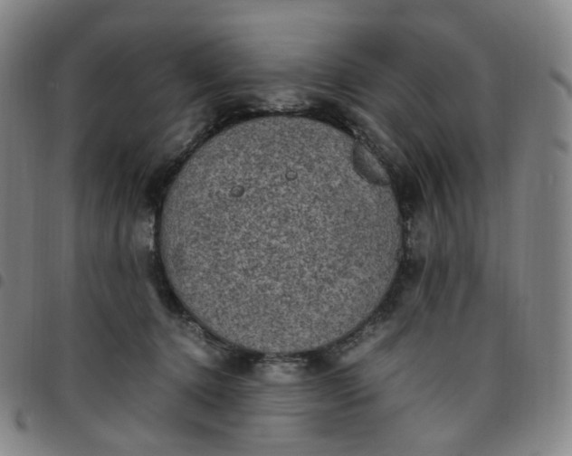 X0000097500368200803071807