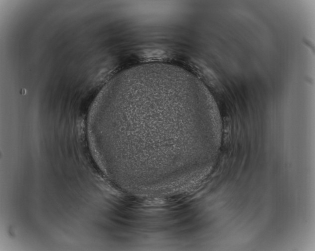 X0000097500369200803071807