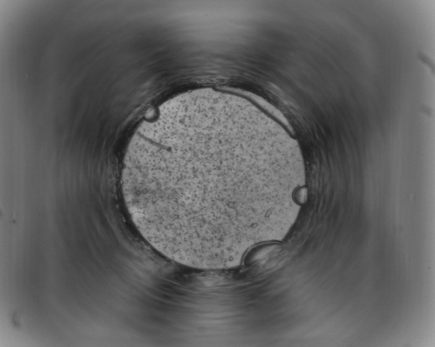 X0000097500370200803071807