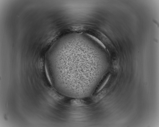X0000097500372200803071807
