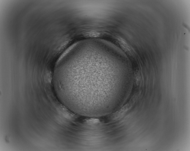 X0000097500374200803071807