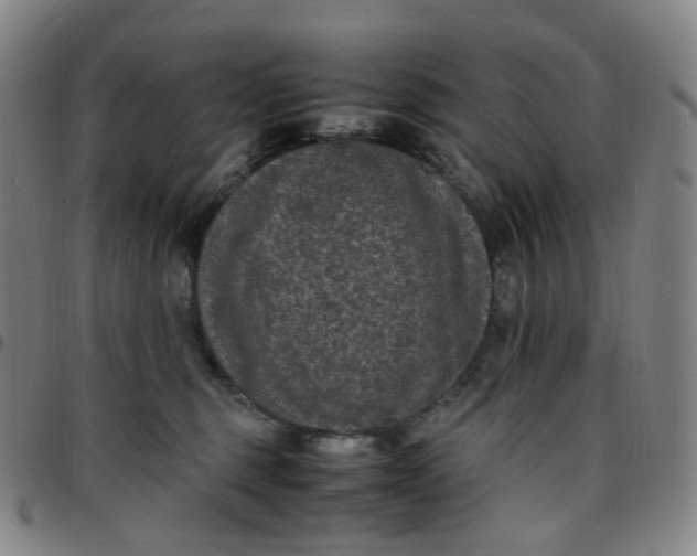 X0000097500375200803071807