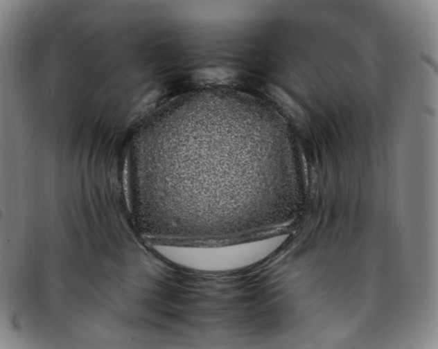 X0000097500377200803071808