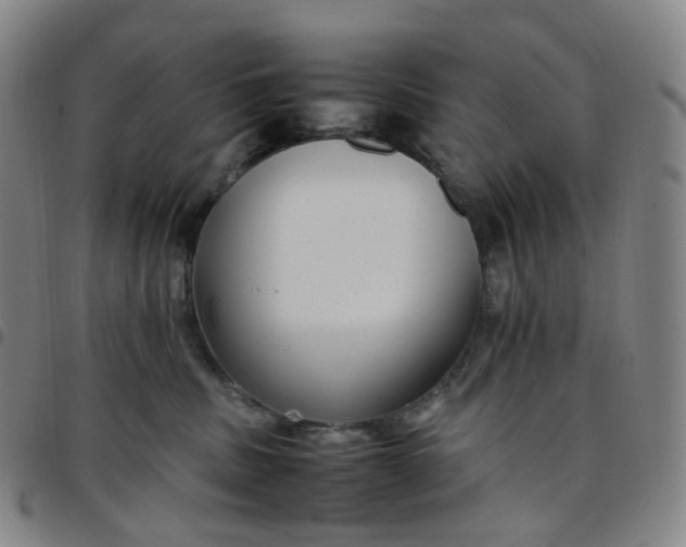 X0000097500379200803071808