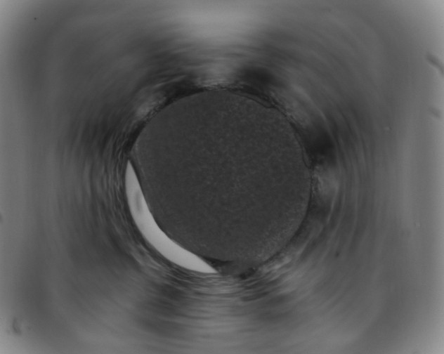 X0000097500380200803071808