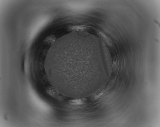 X0000097500381200803071808