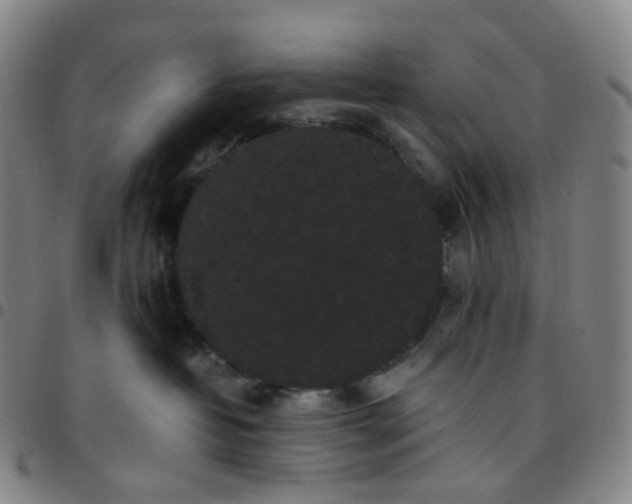 X0000097500382200803071808