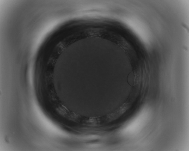 X0000097500383200803071808