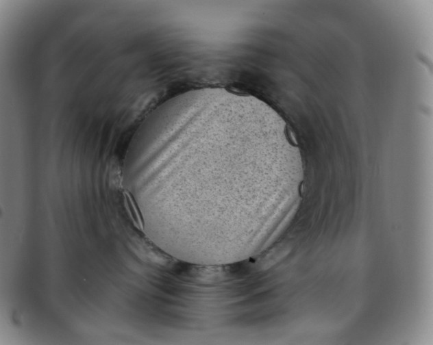 X0000097500384200803071808