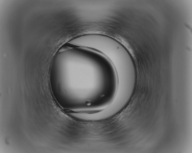 X0000097500385200803071807