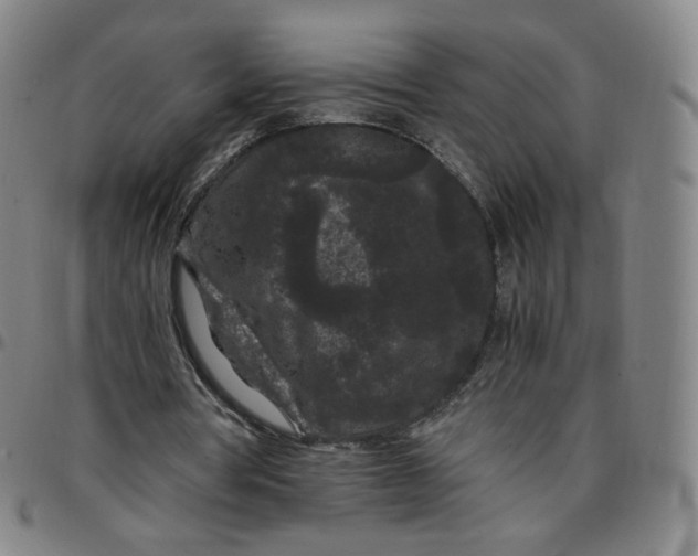 X0000097500386200803071807