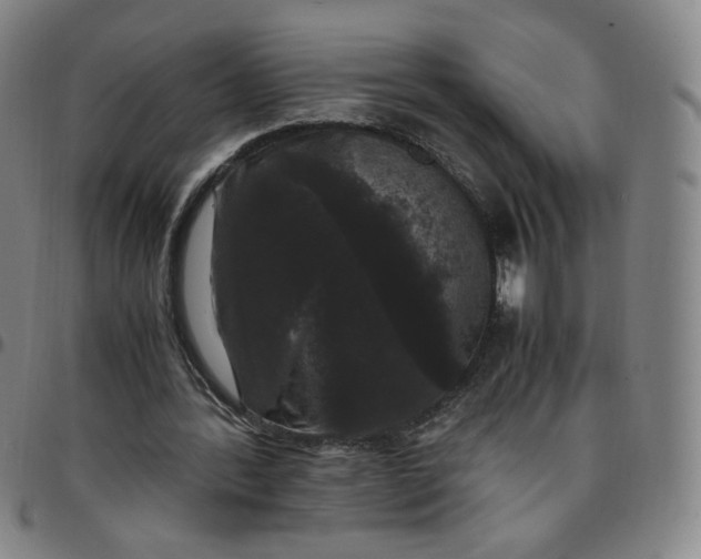X0000097500388200803071807