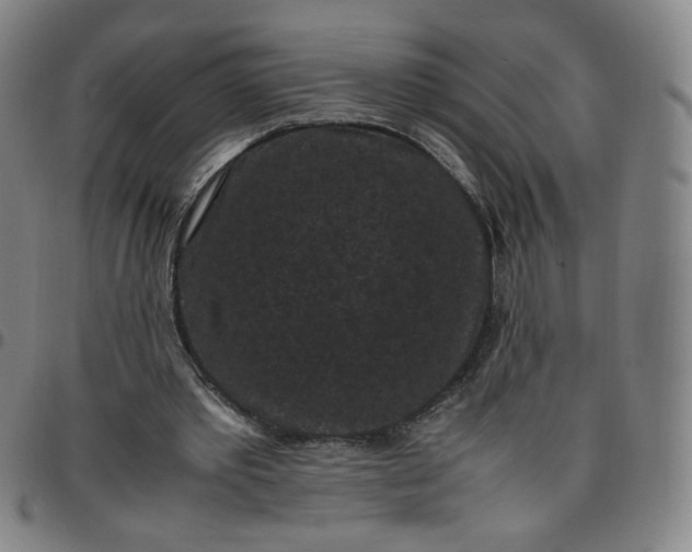 X0000097500389200803071807