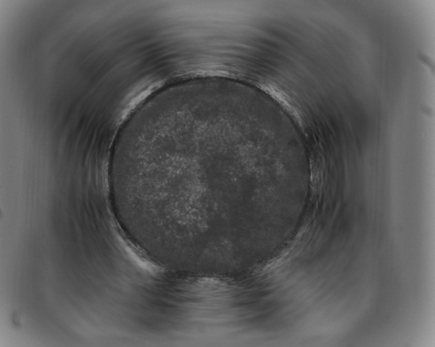 X0000097500390200803071807