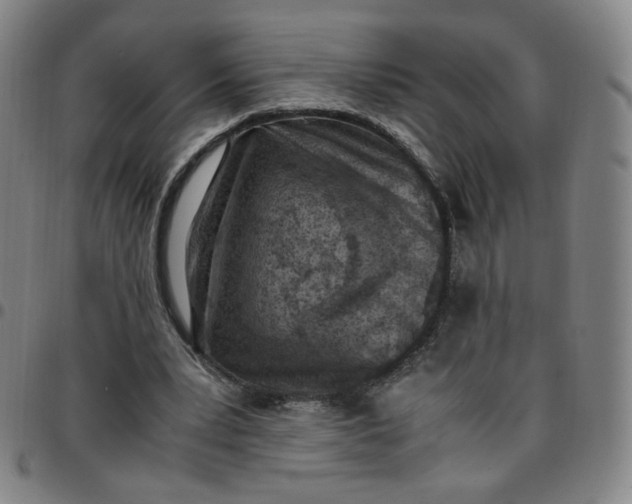 X0000097500391200803071807