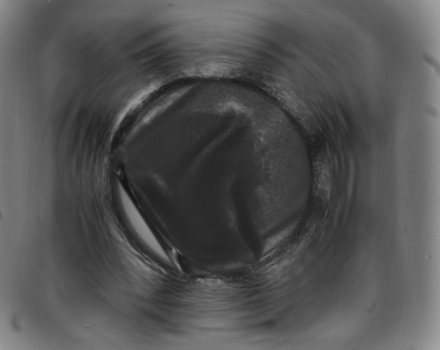 X0000097500392200803071807