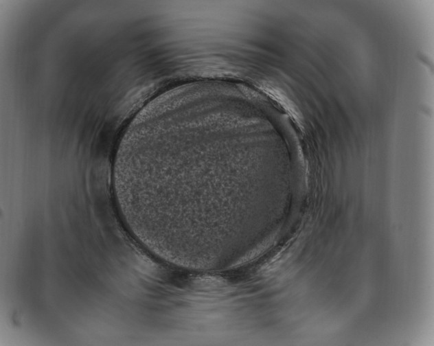 X0000097500397200803071807