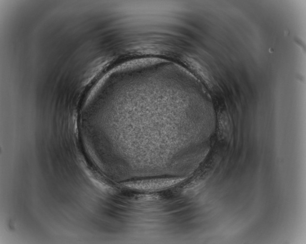 X0000097500398200803071807