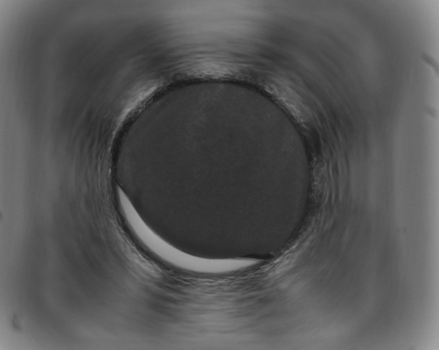 X0000097500399200803071807