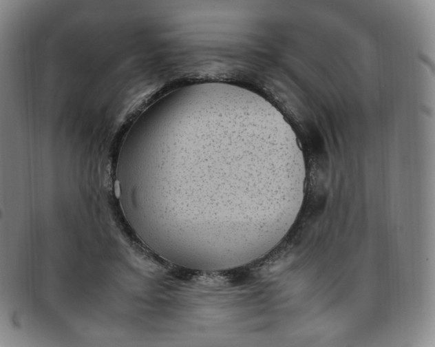 X0000097500403200803071807
