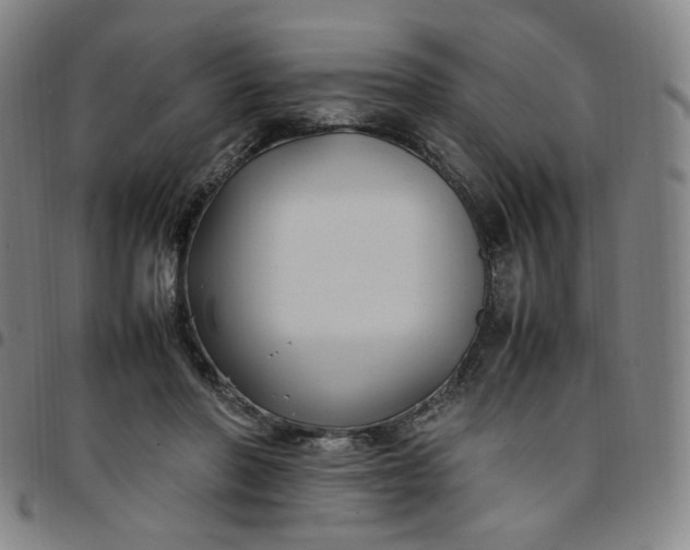 X0000097500406200803071807