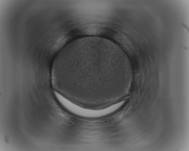 X0000097500407200803071807
