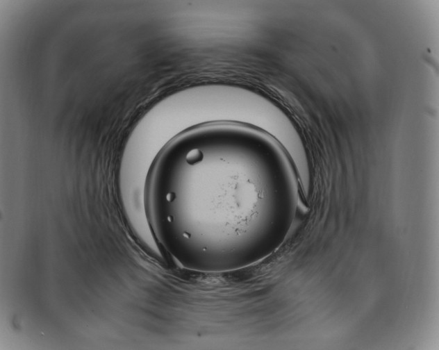 X0000097500409200803071807