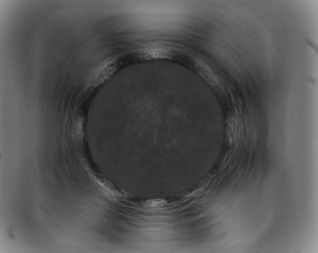 X0000097500410200803071807