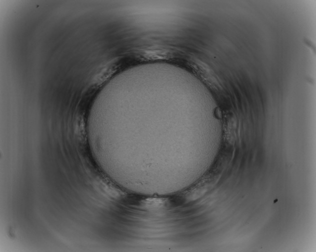X0000097500418200803071806