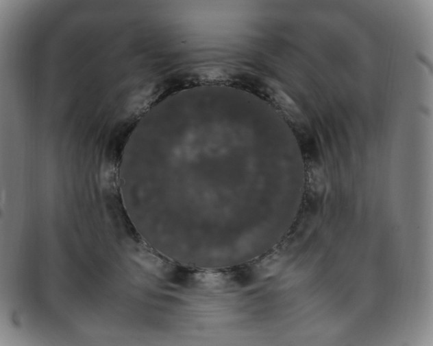 X0000097500419200803071806