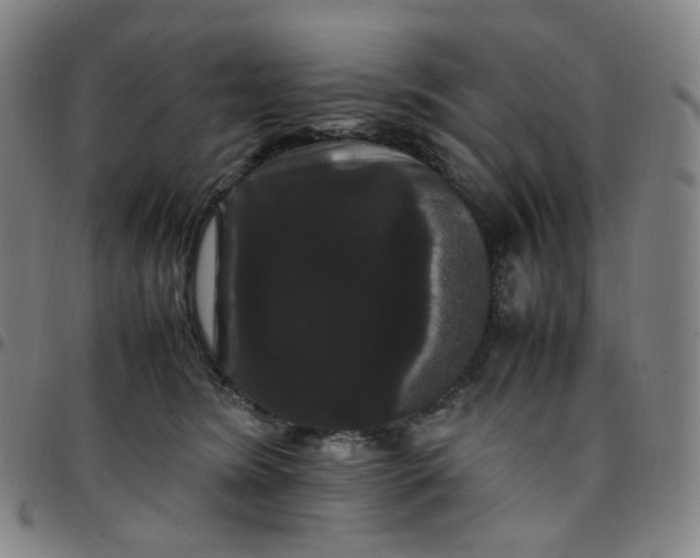 X0000097500420200803071806