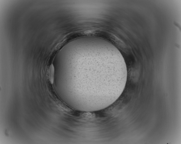 X0000097500421200803071806