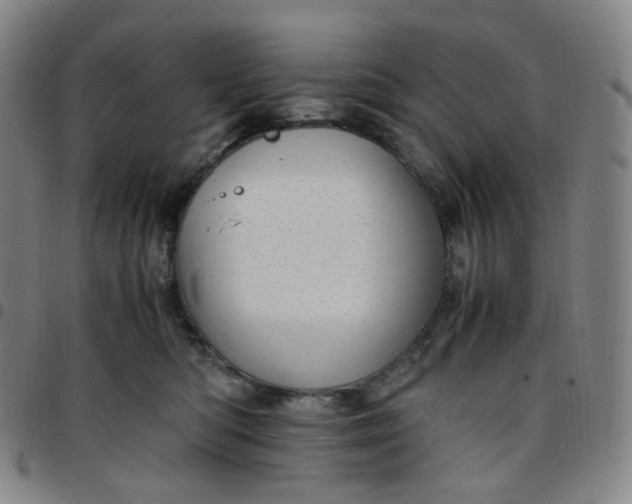 X0000097500422200803071806