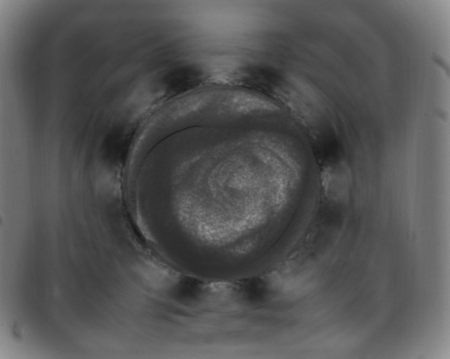 X0000097500423200803071806