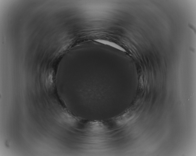 X0000097500424200803071806
