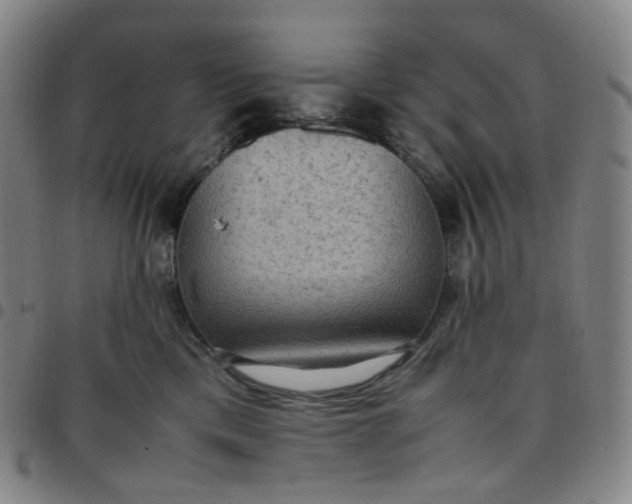X0000097500425200803071806