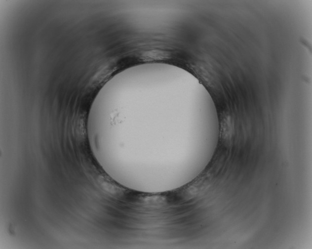 X0000097500426200803071806
