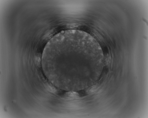 X0000097500427200803071806