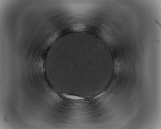 X0000097500428200803071806
